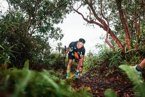 BIB: 
                            <button type="button" onclick="openModal(26209780)" class="btn btn-primary btn-sm float-right btn-popup" data-toggle="modal" data-target=".modal-high-quality">
                        <i class="fas fa-shopping-cart"></i> Add to Cart
                    </button>
                                            <button type="button" onclick="isThisMe(26209780, true)" class="btn btn-success btn-sm float-right btn-popup btn-isme hidden" data-toggle="tooltip" data-placement="bottom" title="นี่คือรูปของคุณใช่ไหม คลิกที่นี่เพื่อเอาเข้าอัลบั้ม">
                        <i class="fas fa-plus"></i> Add to album
                    </button>
                    <button type="button" onclick="isThisMe(26209780, false)" class="btn btn-warning btn-sm float-right btn-popup btn-isnotme hidden">
                        <i class="fas fa-ban"></i> Remove from album
                    </button>